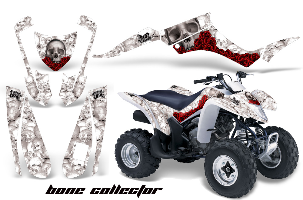 Suzuki LTZ250 Graphics Kit BC W